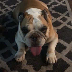 Meet your Posher, Scott